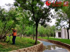 <b>【建筑垃圾】建筑垃圾變身再生骨料，只差一臺移動破碎機！</b>